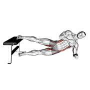 Side Plank Hip Adduction exercise animation