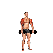 Dumbbell Cuban Press V. 2 exercise animation