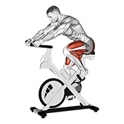 Seated Indoor Cycling Bike form demonstration - targeted for Cardiovascular System Cardio workouts