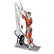 Ski Ergometer exercise animation