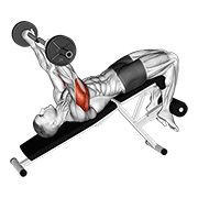 EZ Barbell Decline Triceps Extension exercise animation