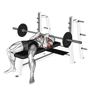 Barbell Reverse Close-Grip Bench Press exercise animation