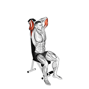 Dumbbell Seated Triceps Extension exercise animation