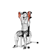 Dumbbells Seated Triceps Extension exercise animation