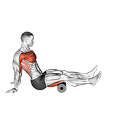 Roller Seated Shoulder Flexor Depresor Retractor exercise animation
