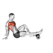 Roller Seated Single Leg Shoulder Flexor Depresor Retractor exercise animation