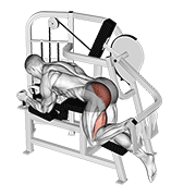 Lever Hip Extension V. 2 exercise animation