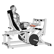 Lever Calf Press exercise animation