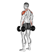 Dumbbell Rear Delt Raise exercise animation