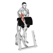 Dumbbell Standing Zottman Preacher Curl exercise animation