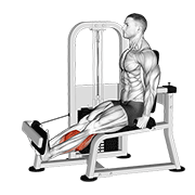 Lever Rotary Calf exercise animation