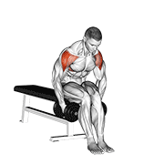 Dumbbell Seated Bent Arm Lateral Raise exercise animation
