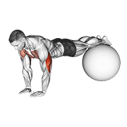 Narrow Push-Up On Exercise Ball exercise animation
