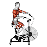 Cycle Cross Trainer exercise animation