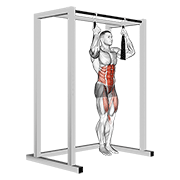 Arm Slingers Hanging Straight Legs form demonstration - targeted for Abs Waist workouts