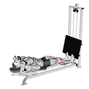 Sled Lying Calf Press exercise animation