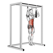 Arm Slingers Hanging Bent Knee Legs form demonstration - targeted for Abs Waist workouts