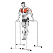 Wide-Grip Chest Dip On High Parallel Bars exercise animation