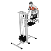 Assisted Wide-Grip Chest Dip (kneeling) form demonstration - targeted for Pectorals Chest workouts