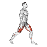 Split Squats exercise animation