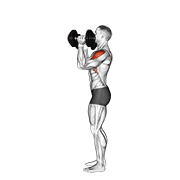 Dumbbell Scott Press exercise animation