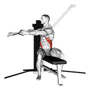 Cable Seated Twist form demonstration - targeted for Abs Waist workouts