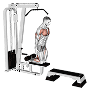 Inverse Leg Curl (on Pull-Up Cable Machine) exercise animation