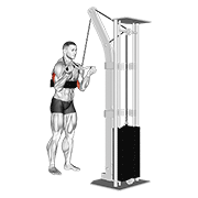 Cable Reverse Grip Triceps Pushdown (sz-Bar) (with Arm Blaster) exercise animation