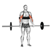Barbell Biceps Curl (with Arm Blaster) exercise animation