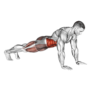 Bridge - Mountain Climber (cross Body) form demonstration - targeted for Abs Waist workouts