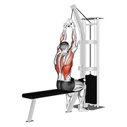 Cable Lateral Pulldown With V-Bar exercise animation