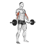 Ez-Barbell Standing Wide Grip Biceps Curl form demonstration - targeted for Biceps Upper Arms workouts
