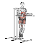 Twisted Leg Raise exercise animation
