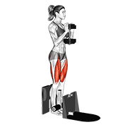Dumbbell Supported Squat exercise animation