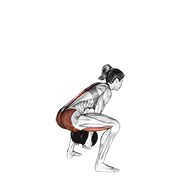 Dumbbell Sumo Pull Through exercise animation