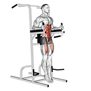 Captains Chair Straight Leg Raise form demonstration - targeted for Abs Waist workouts