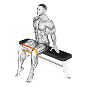 Resistance Band Seated Hip Abduction form demonstration - targeted for Abductors Upper Legs workouts