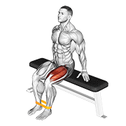 Resistance Band Leg Extension exercise animation