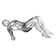 Low Glute Bridge On Floor exercise animation