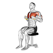 Resistance Band Seated Chest Press form demonstration - targeted for Pectorals Chest workouts