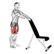 Potty Squat With Support exercise animation