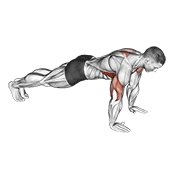 Push-Up Plus exercise animation