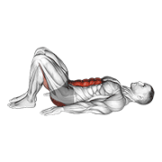 Pelvic Tilt exercise animation
