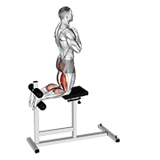 Glute-Ham Raise exercise animation