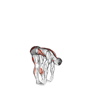 Basic Toe Touch (male) exercise animation