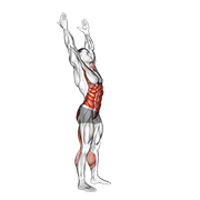 Side-To-Side Toe Touch (male) exercise animation