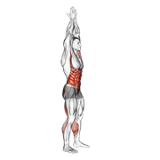 Hands Clasped Circular Toe Touch (male) exercise animation