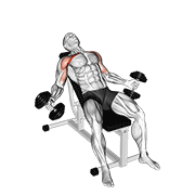 Hyght Dumbbell Fly exercise animation