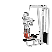 Cable Assisted Inverse Leg Curl exercise animation