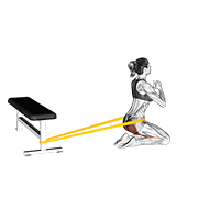 Resistance Band Hip Thrusts On Knees (female) exercise animation